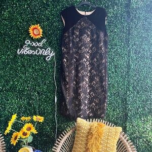 Cato Black Lace Dress with Velvet Sleeve Size 18W Great condition